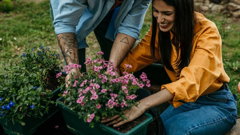 The Trend In 2026 That Turns Your Regular Garden Into A Stunning Statement Piece
