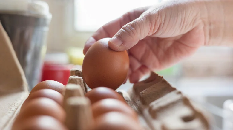 The Truth About Raw Egg Fertilizer Before Trying It Yourself