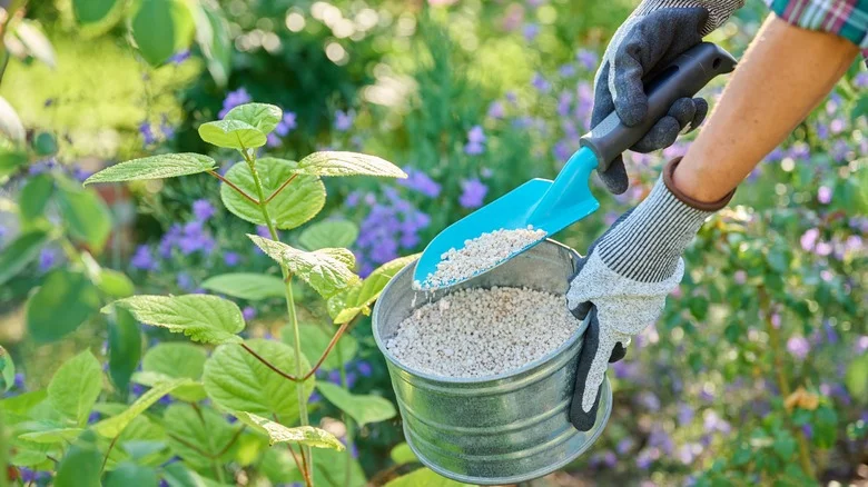 The Type Of Fertilizer You Should Avoid Using In High Heat At All Costs