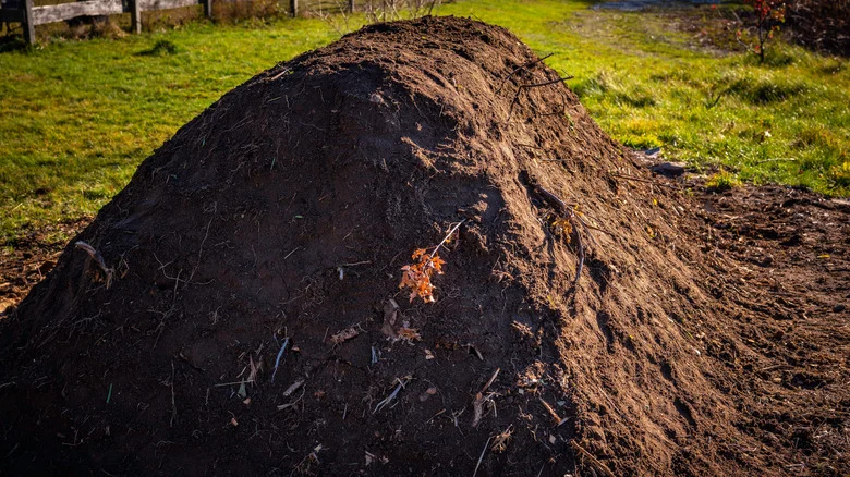 The Unbeatable Benefits Of Hugelkultur Gardening