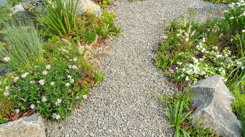 The Underrated Herb That Covers Your Tricky Landscape Problems