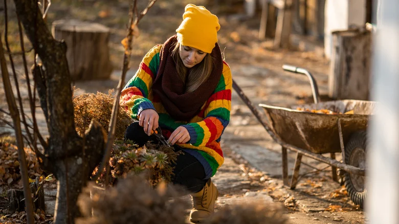 The Unexpected Fall Ingredient You’ll Want To Use In The Garden As It Gets Cold