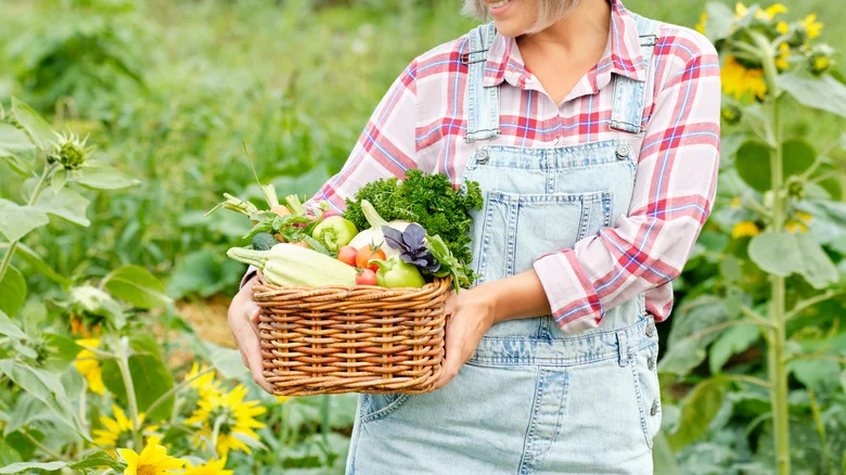 The Unique And Easy-To-Grow Fruit That’s Perfect For Beginner Gardeners