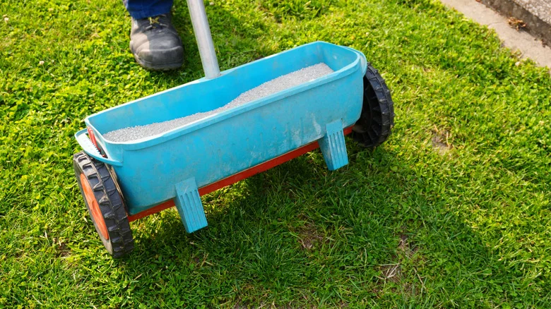 The Unlikely Sign Your Lawn Has Too Much Nitrogen (& The Simple Solution You Need)