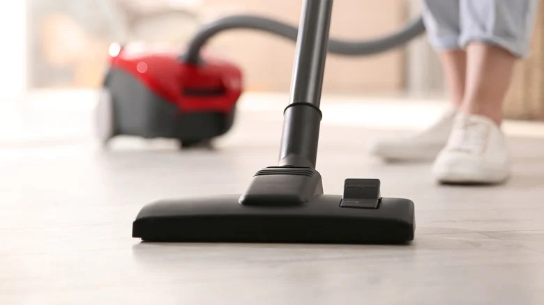 The Unusual Compost Ingredient You Can Find Inside Your Vacuum Cleaner
