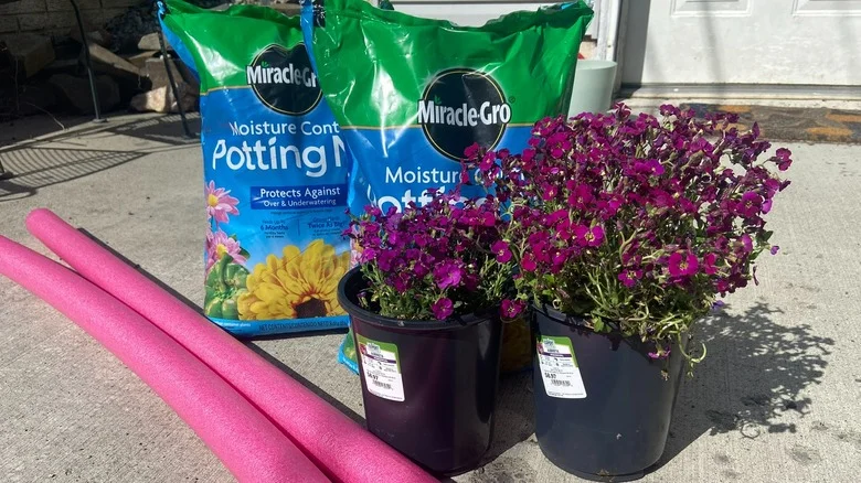 The Viral Pool Noodle Gardening Hack That Helps You Save Potting Soil In Large Pots