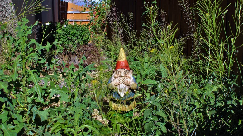The WD-40 Hack That May Kill Prickly Weeds In Your Yard