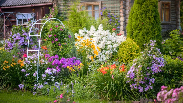 The Whimsical Purple Plant That Naturally Wards Off A Wide Range Of Garden Pests