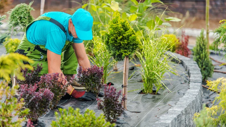 The Worst Mulch For Your Flower Bed And What To Use Instead