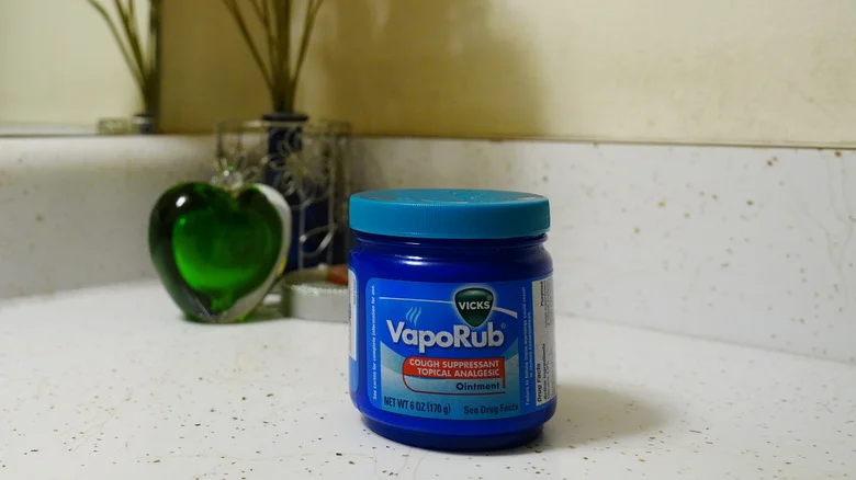 These Common Pests Don’t Stand A Chance Against Vicks Vaporub