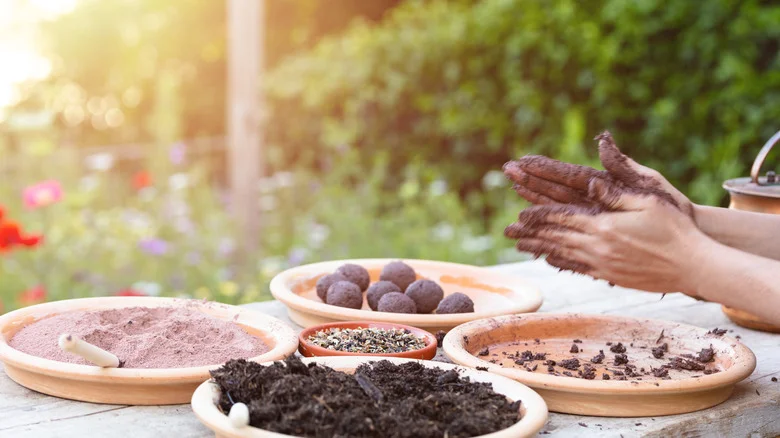 These DIY Seed Bombs Make Starting A Flourishing Garden Easier Than Ever