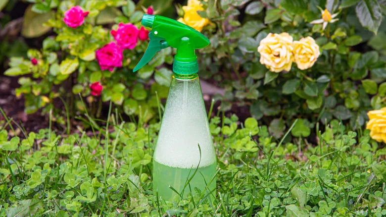 Think Twice Before Adding Soap To Your Weed Killer. Here’s Why