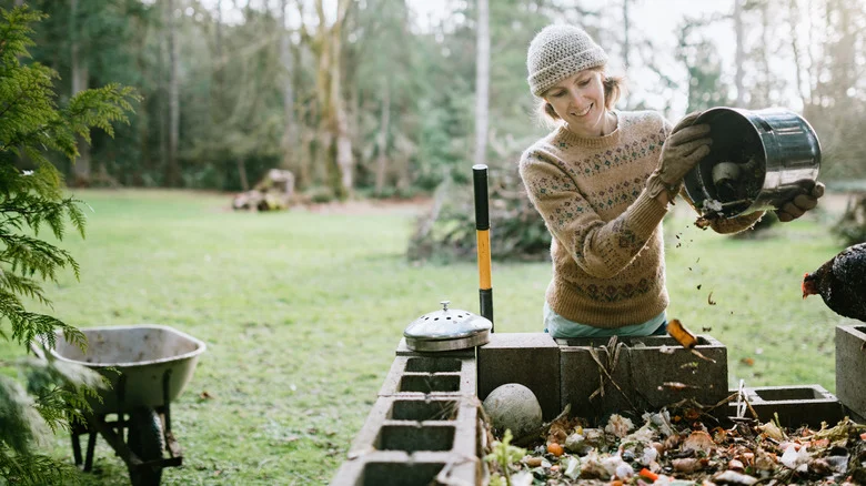 Think Twice Before Adding These Common Weeds To Your Compost Pile