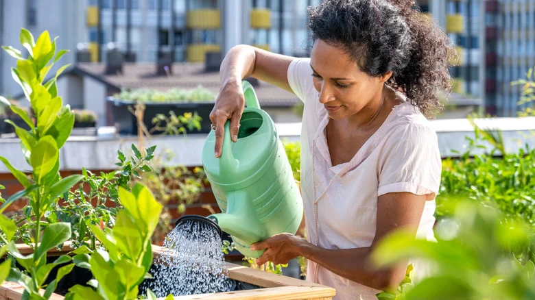 This Big Box Store Planter Is Essential If You Struggle To Keep Your Garden Alive