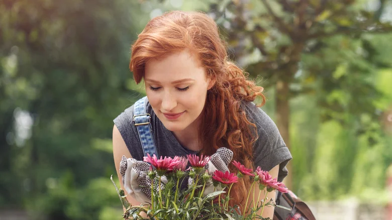 This Colorful Flower Is A Must For Beginner Gardeners, According To Pinterest
