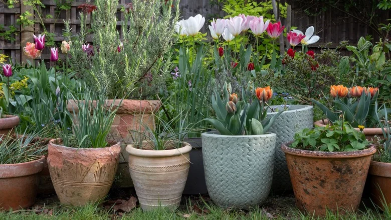This Container Gardening Hack Turns Chimney Flue Liners Into Stunning Planters