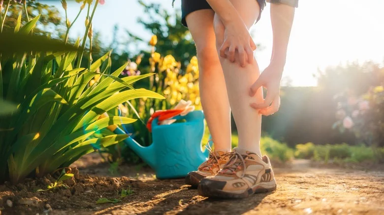 This Delicious-Smelling Baking Ingredient Repels Mosquitos Like Magic