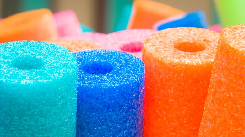 This Easy Pool Noodle Seed Starting Hack Is Definitely Worth Trying