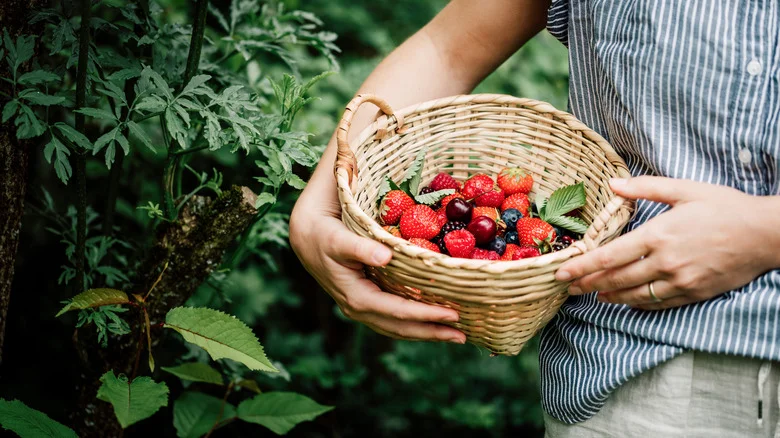 This Garden Tip Is The Secret To A Luscious Strawberry Harvest
