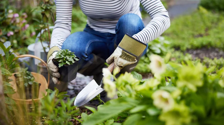 This Gardener’s Upcycle Project Uses An Item You Usually Toss: ‘A Fantastic Hack’