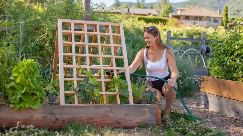 This Hack Straight From Your Closet Is Perfect For Trellis Gardeners