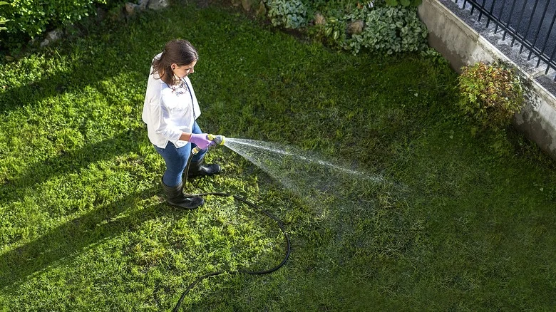 This Highly Rated Amazon Find Can Cover Large Areas To Efficiently Water Lawns
