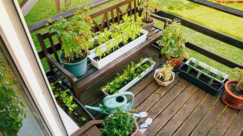 This Inexpensive IKEA Hack Is Perfect For Gardening In A Small Space