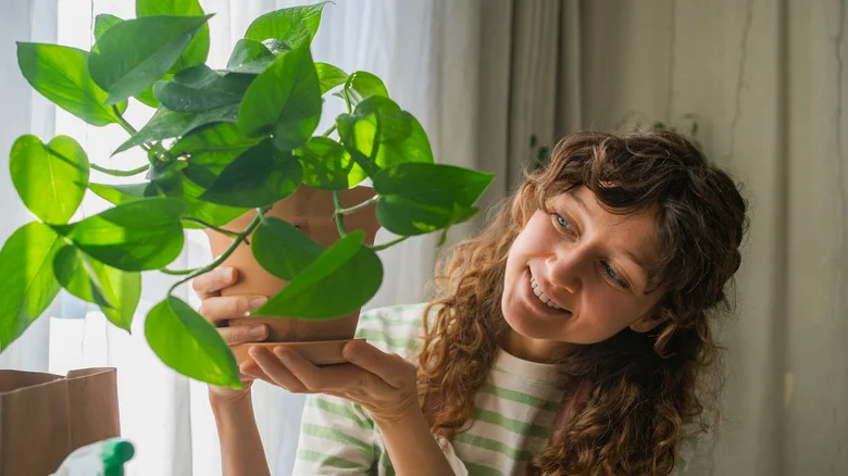This Leftover Kitchen Scrap Is The Secret To A Thriving Pothos Plant