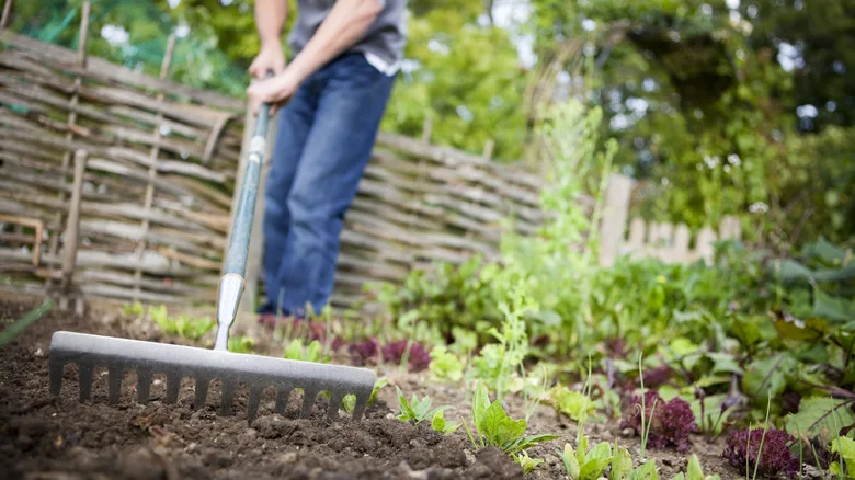 This Old Household Staple Could Be The Key To Healthier Soil