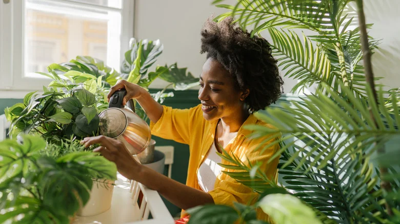 This Rusty Steel Wool Hack Could Help Your Plants Thrive. Here’s Why