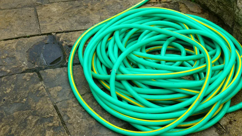 This Sneaky Yard Hack Prevents Garden Hoses From Ruining Your Curb Appeal