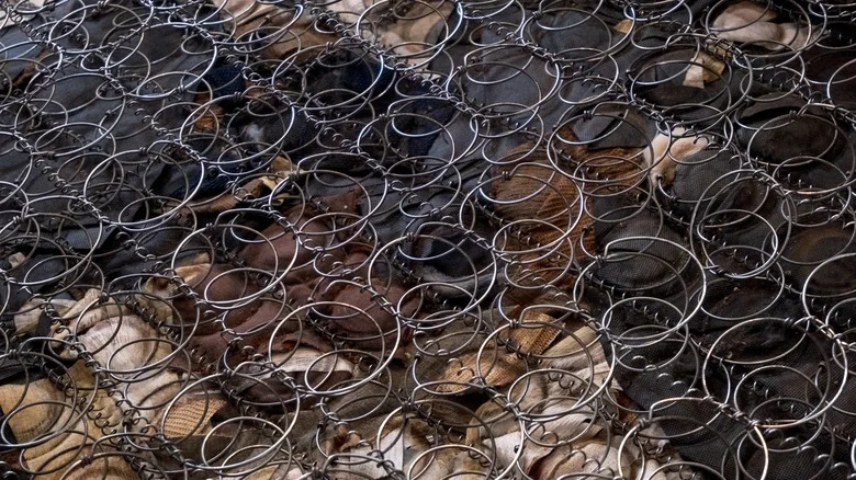 TikTok Reuses Old Mattress Springs As A Genius Garden Growing Tool