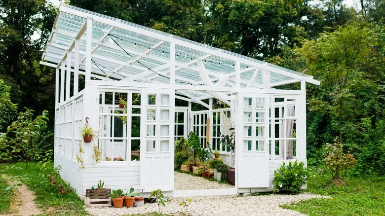TikTok Shows Us How To DIY A Gorgeous Greenhouse Out Of Old Windows