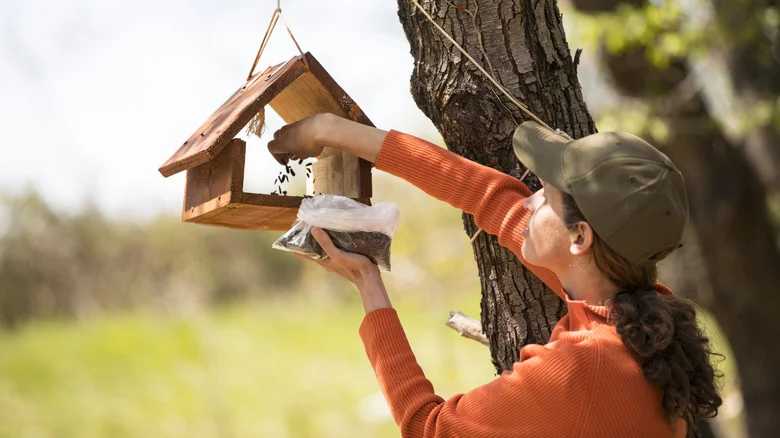 TikTok’s Brilliant Bird Feed Storage Trick Is A Total Game Changer