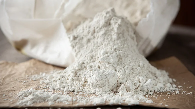 TikTok’s Genius Gardening Trick For An Easy Application Of Diatomaceous Earth