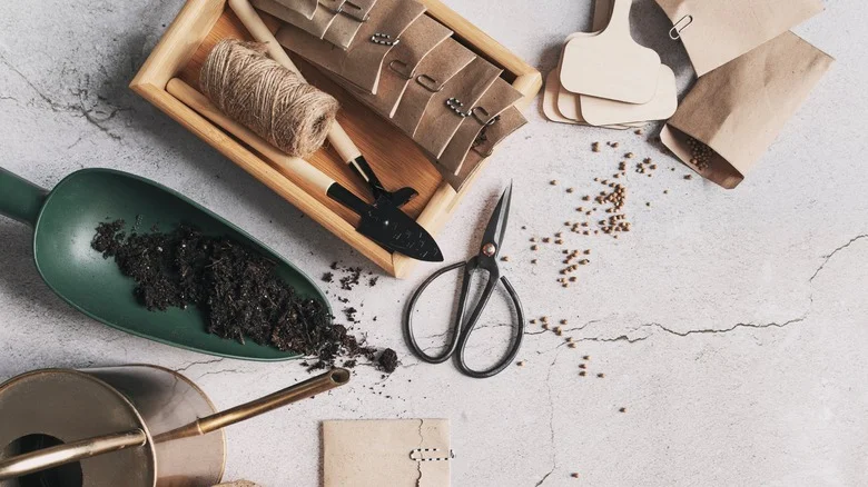 TikTok’s Helpful Tip For Starting Seeds In Your Garden On A Budget