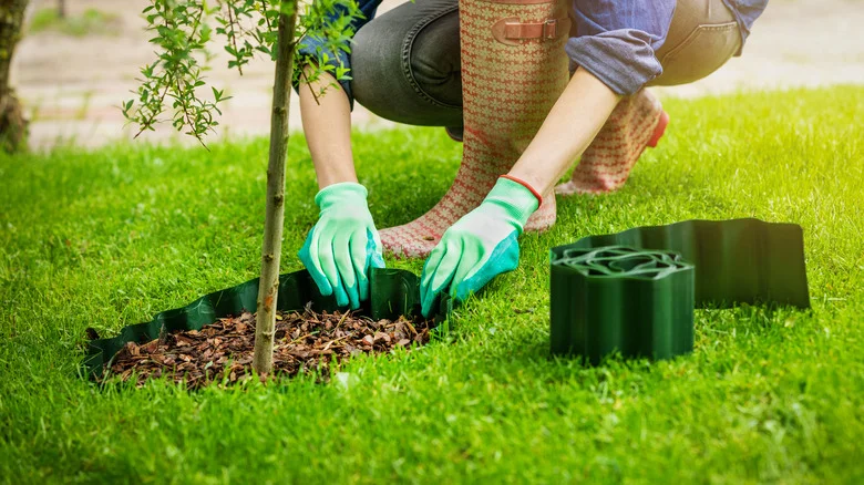 TikTok’s Tree Edging DIY Is Raising Questions From Some Gardeners
