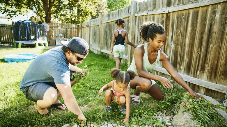 Tips And Tricks To Prevent Weeds From Growing Close To Your Fence