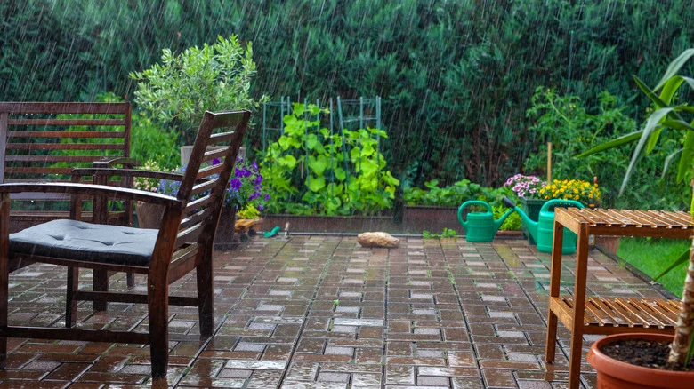 Tips To Deal With An Overwatered Veggie Garden After A Rainy Day