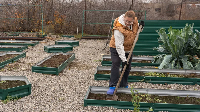 Tips To Help Prep Garden Soil In Late Winter For A Healthy Spring Start