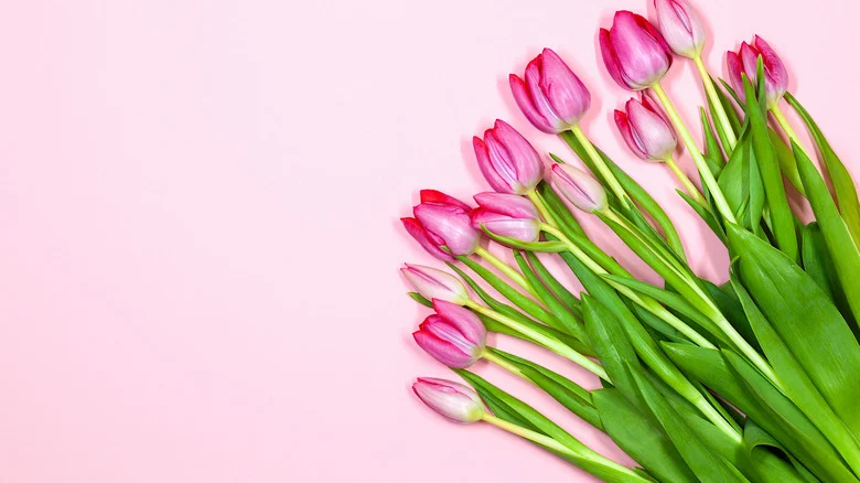 Tips To Keep Cut Flowers From The Grocery Store Looking Pretty Longer