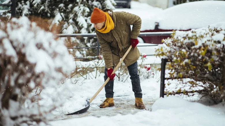 ‘Total Lifesaver’: Woman’s Clever Snow-Removal Hack Is Perfect For Dog Owners