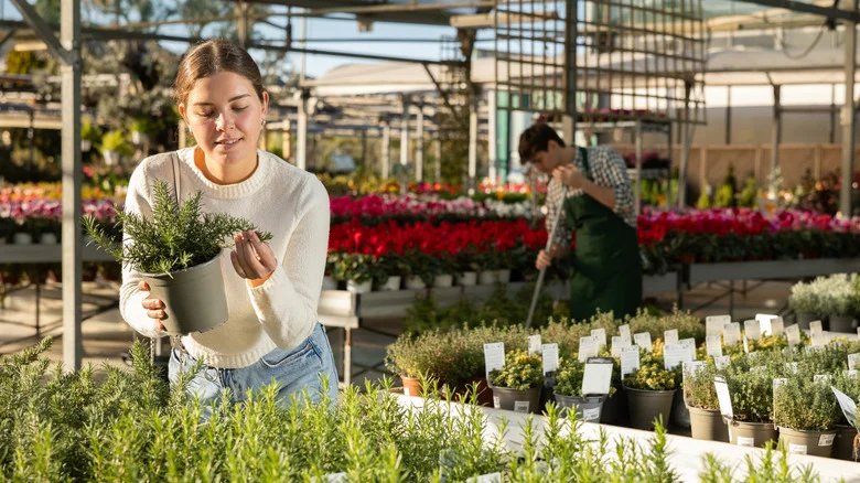 Transform Store-Bought Herbs With One Simple Trick