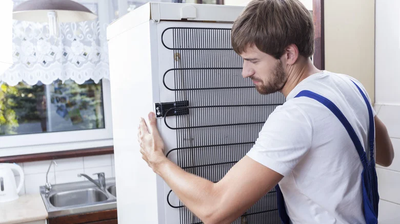 Transform That Broken Fridge It Into A Functional Veggie Garden