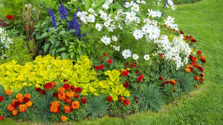 Try This Ancient Roman Garden Technique For Flourishing Plants