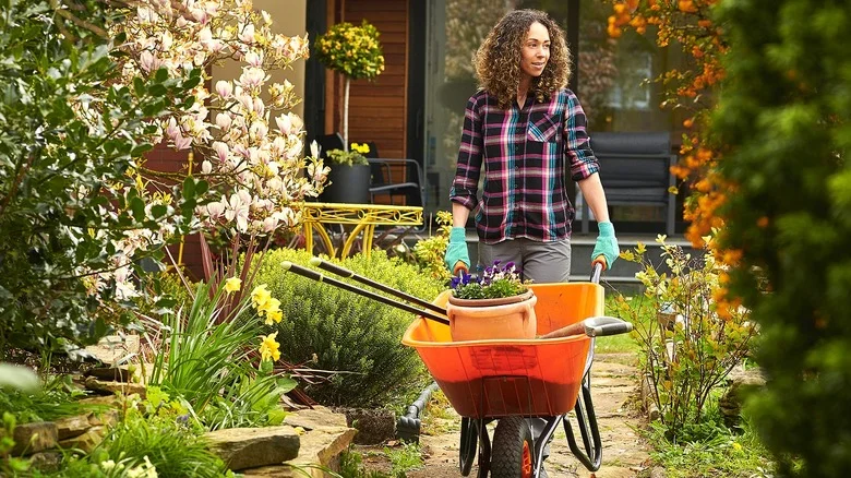 Turn A Bar Of Fels-Naptha Into Your Garden’s Best Defense Against Pests