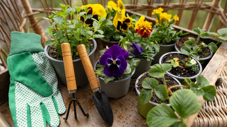Turn An Old Aluminum Can Into The Cutest Flower And Garden Caddy Solution
