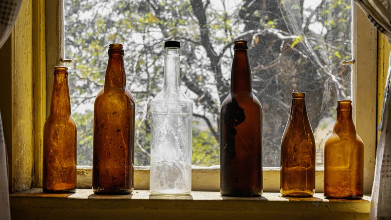 Turn An Old Beer Bottle Into The Cutest Plant Propagation Station