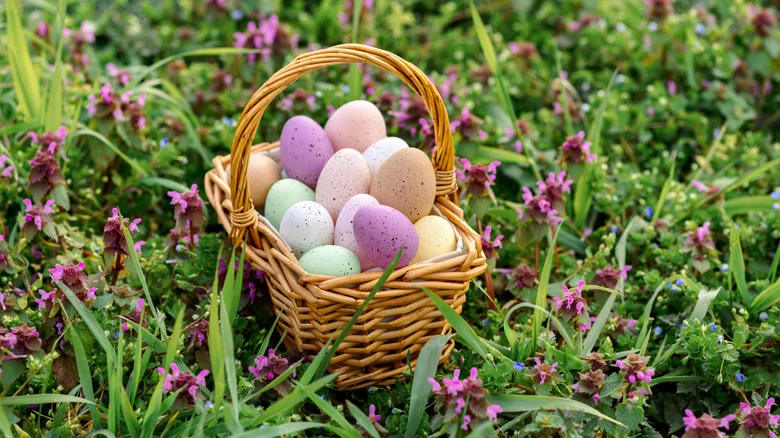 Turn An Old Easter Basket Into A Bird Feeder They’ll Love