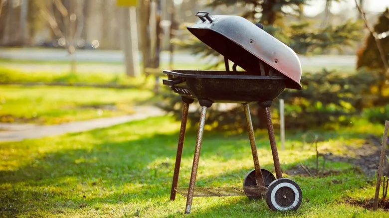 Turn An Old Grill Into A Unique Raised Planter With An Easy DIY